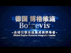 যথার্থ তৈরি ইঞ্জিন ভালভ কভার অটো ইঞ্জিন অংশ 03C109210BP জন্য স্যাগিটার