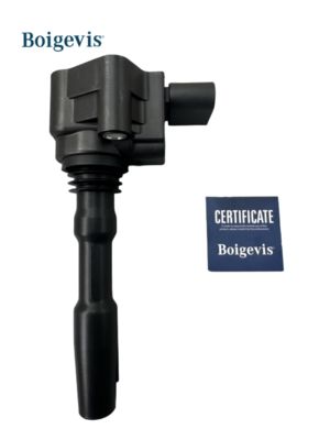 079905110J VW AUDI A6 এর জন্য ইগনিশন কয়েল VAG SEAT SKODA BENTLEY